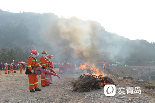 青島舉辦森林防滅火應(yīng)急救援演練,一批高科技消防裝備產(chǎn)品首次亮相